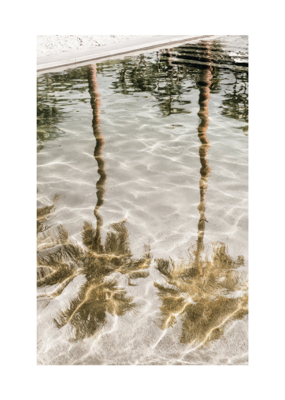 Golden Reflections - Unframed art print