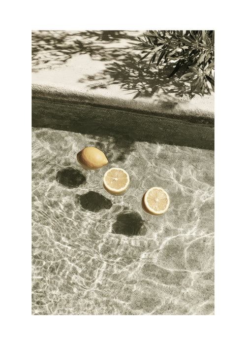 Floating Lemons - Unframed art print