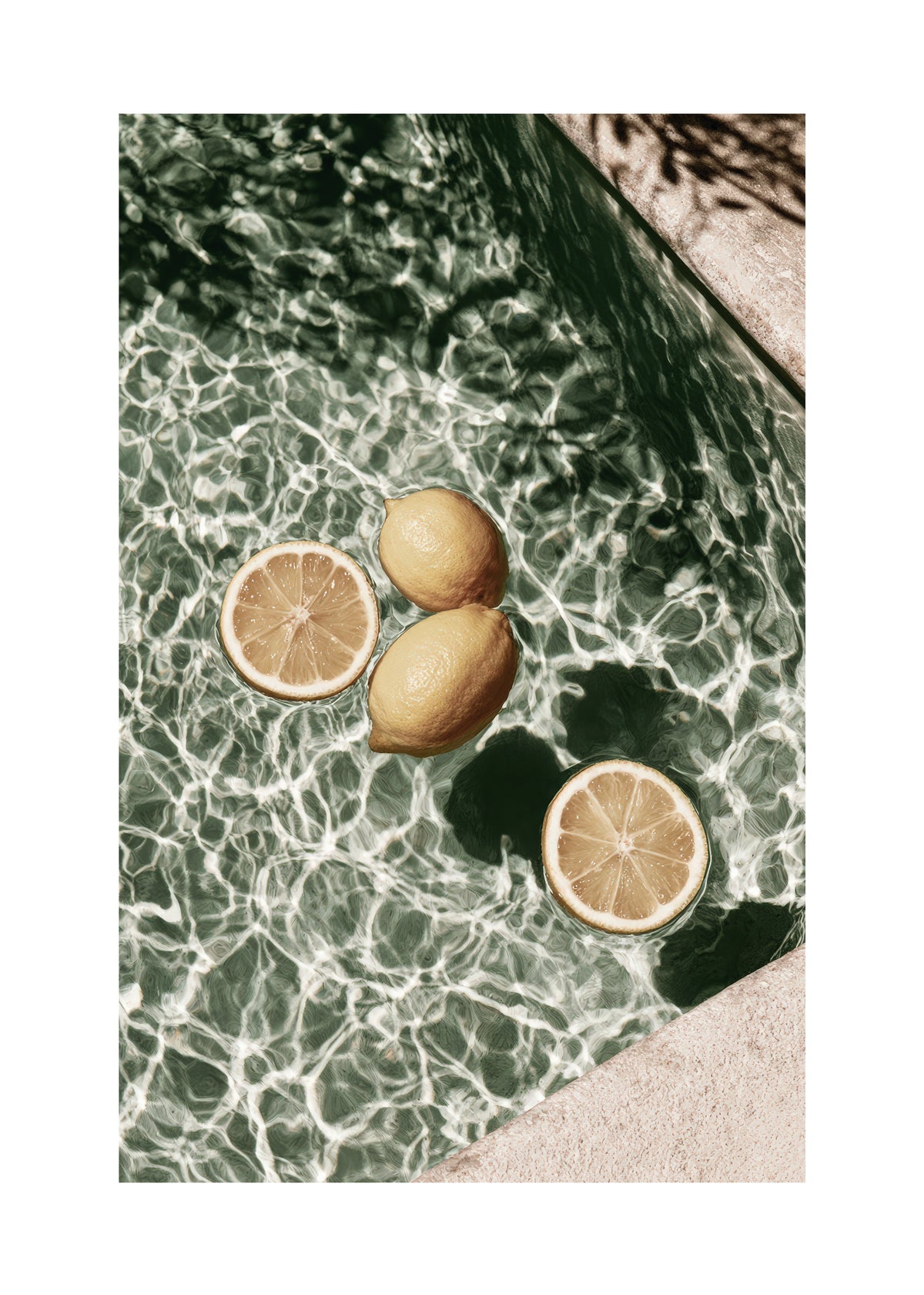 Poolside Citrus - Unframed art print