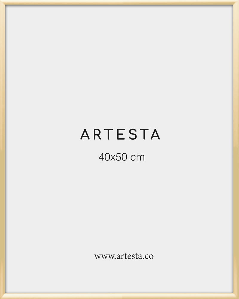 Bilderrahmen Goldfarben 40x50cm