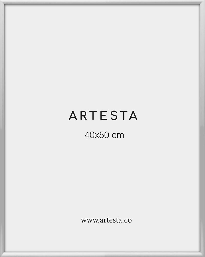 Bilderrahmen Silberfarben 40x50cm