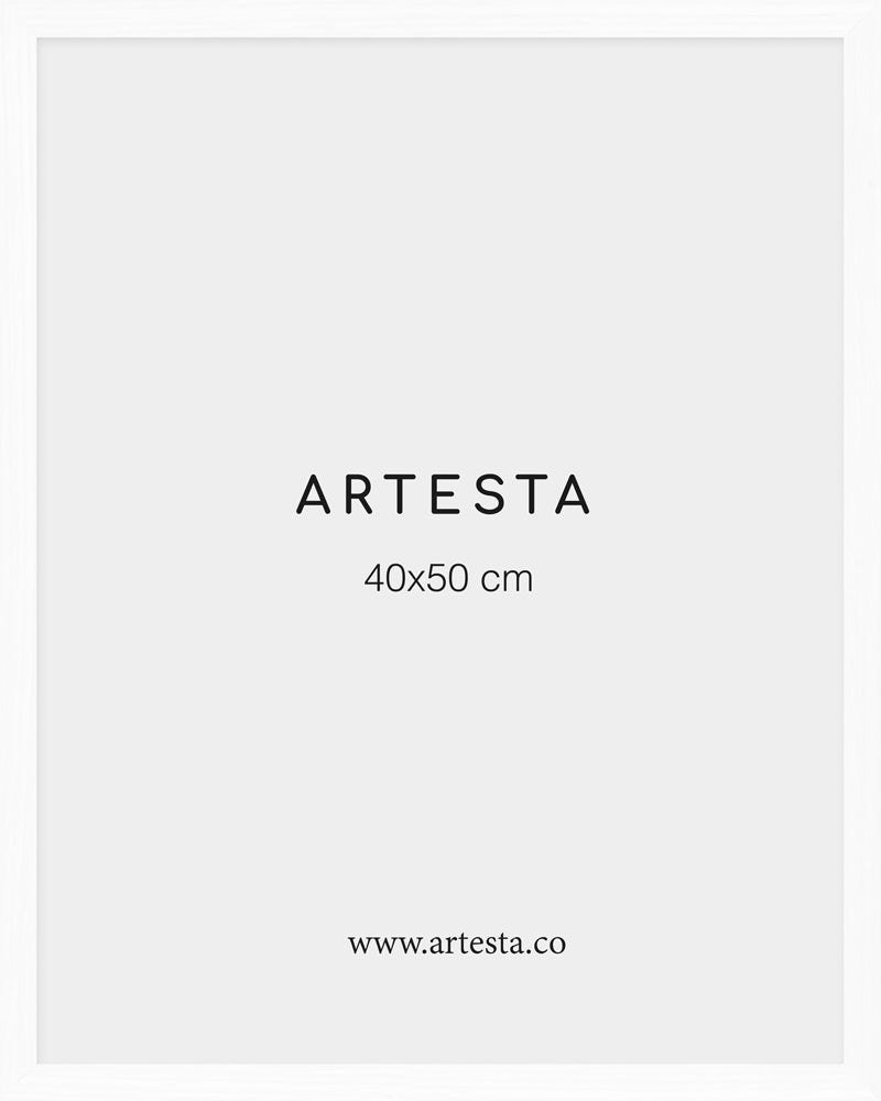 Bilderrahmen Weiß 40x50cm