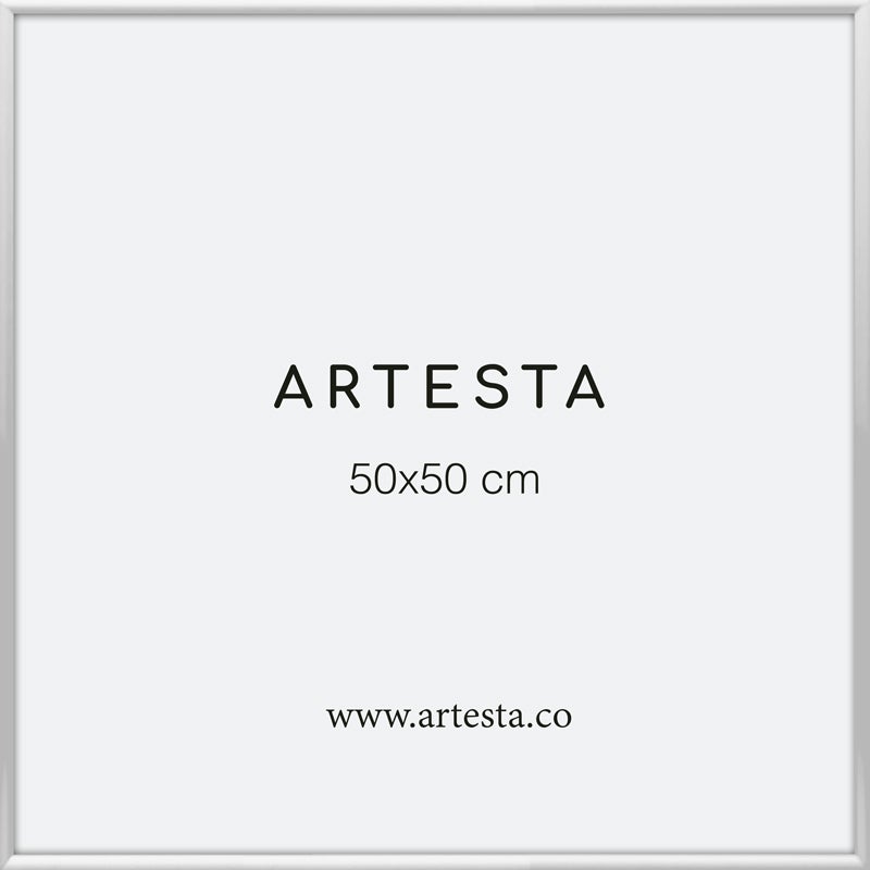 Bilderrahmen Silberfarben 50x50cm