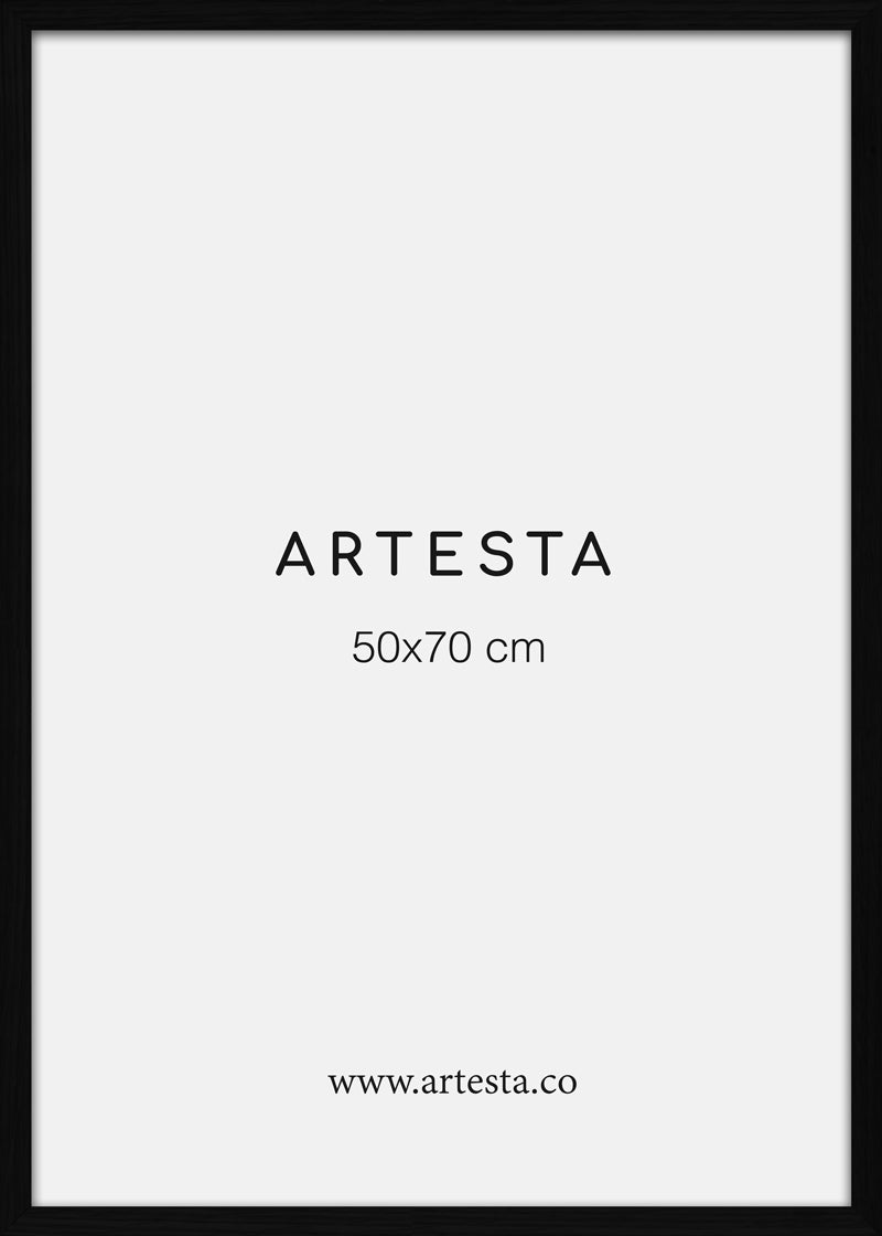 Bilderrahmen Schwarz 50x70cm