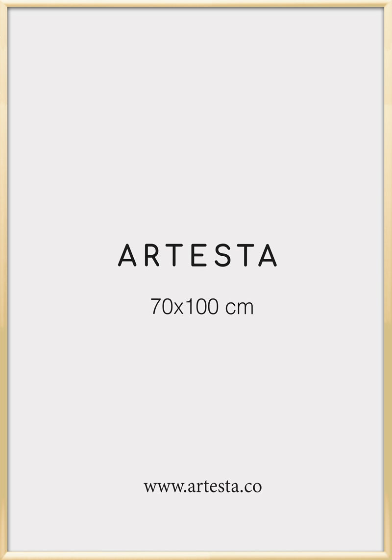 Bilderrahmen Goldfarben 70x100cm