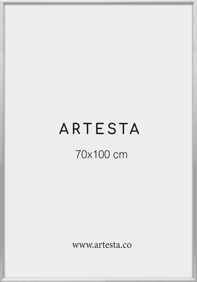 Bilderrahmen Silberfarben 70x100cm