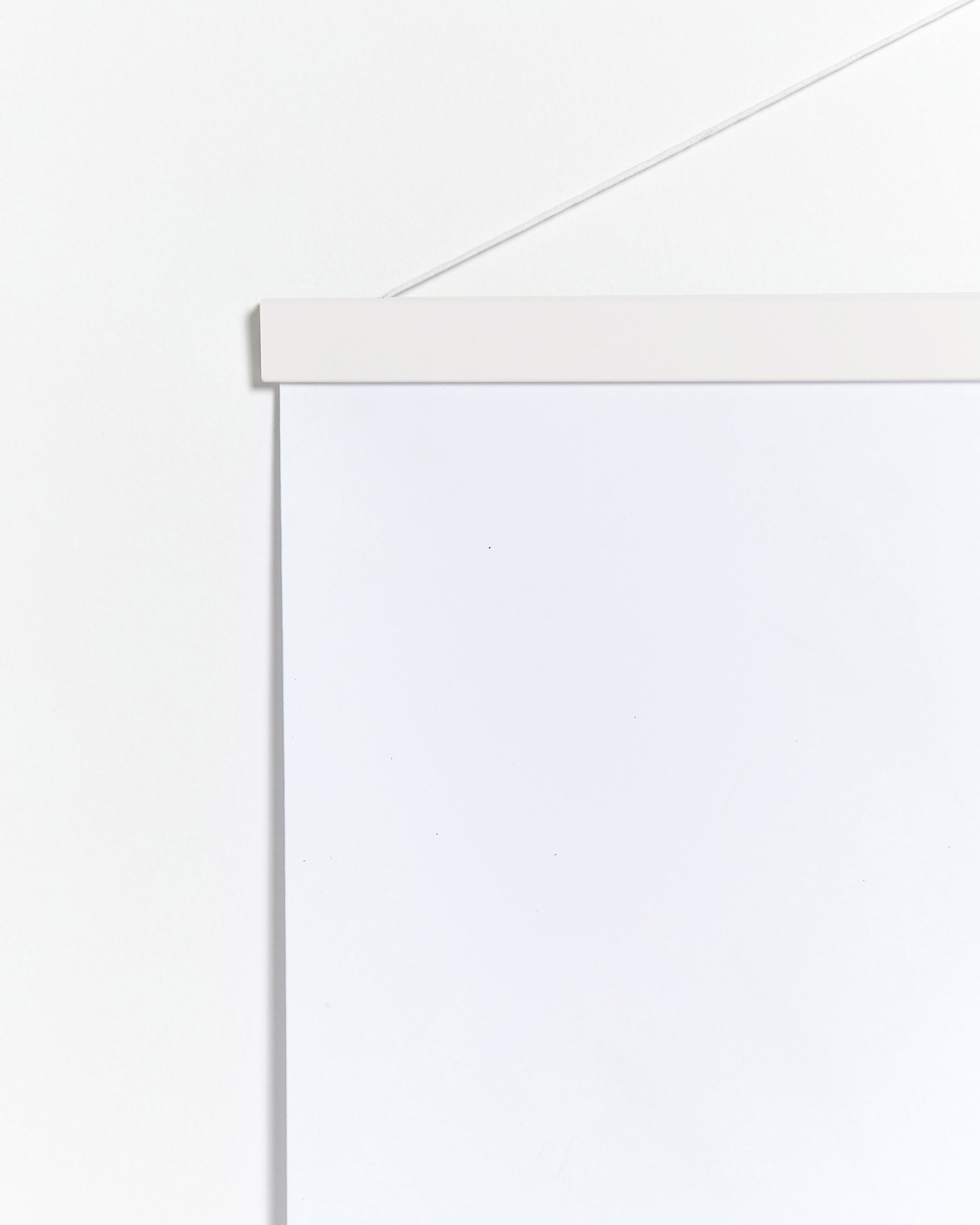 Posterleiste Magnetisch weiß 20cm